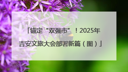 锚定“双强市”！2025年吉安文旅大会部署新篇（图）
