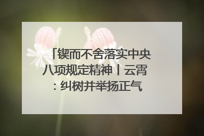 锲而不舍落实中央八项规定精神丨云霄：纠树并举扬正气 作风建设谱新章