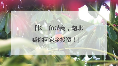 长三角楚商，湖北喊你回家乡投资！