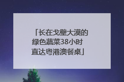 长在戈壁大漠的绿色蔬菜38小时直达粤港澳餐桌