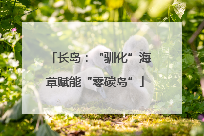 长岛：“驯化”海草赋能“零碳岛”