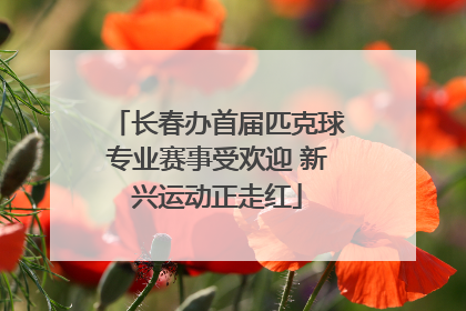 长春办首届匹克球专业赛事受欢迎 新兴运动正走红