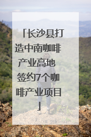 长沙县打造中南咖啡产业高地 签约7个咖啡产业项目