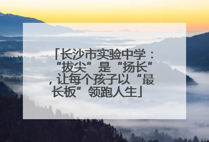 长沙市实验中学：“拔尖”是“扬长”，让每个孩子以“最长板”领跑人生