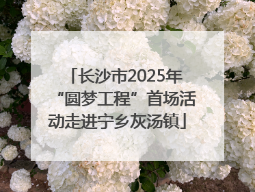 长沙市2025年“圆梦工程”首场活动走进宁乡灰汤镇