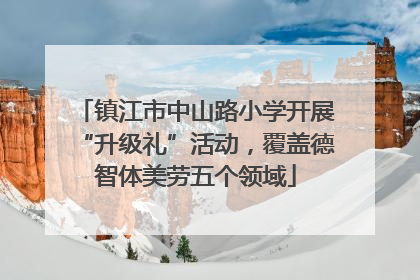 镇江市中山路小学开展“升级礼”活动，覆盖德智体美劳五个领域