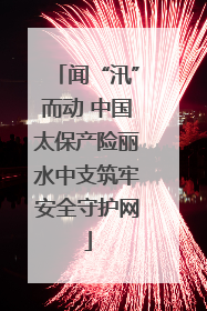 闻“汛”而动 中国太保产险丽水中支筑牢安全守护网