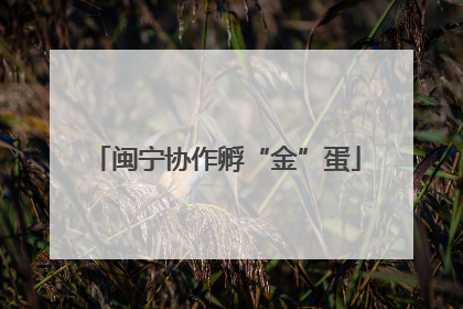 闽宁协作孵“金”蛋