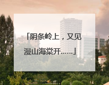 阴条岭上，又见漫山海棠开……