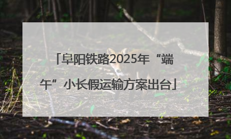 阜阳铁路2025年“端午”小长假运输方案出台