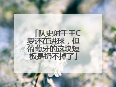 队史射手王C罗还在进球，但葡萄牙的这块短板是扔不掉了
