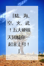 陆、海、空、火、武！五大硬核天团喊你一起来上号！