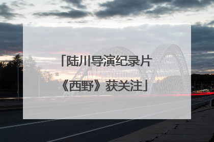 陆川导演纪录片《西野》获关注