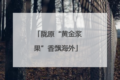 陇原“黄金浆果”香飘海外