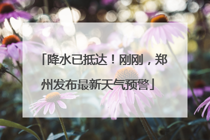 降水已抵达！刚刚，郑州发布最新天气预警