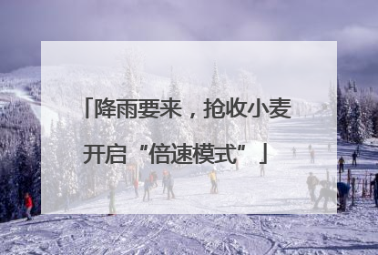 降雨要来，抢收小麦开启“倍速模式”