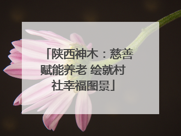 陕西神木：慈善赋能养老 绘就村社幸福图景