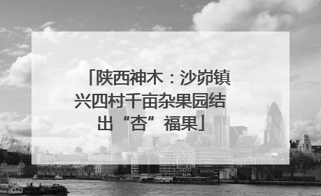 陕西神木：沙峁镇兴四村千亩杂果园结出“杏”福果