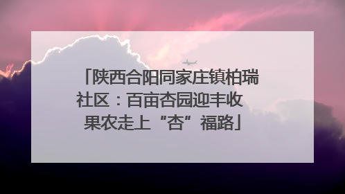 陕西合阳同家庄镇柏瑞社区：百亩杏园迎丰收 果农走上“杏”福路