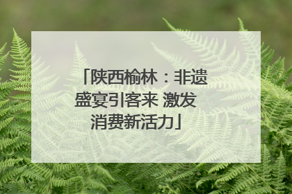 陕西榆林：非遗盛宴引客来 激发消费新活力