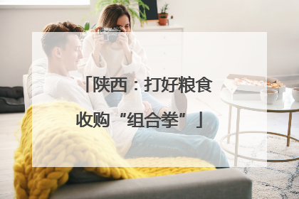 陕西：打好粮食收购“组合拳”