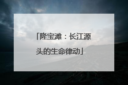 隆宝滩：长江源头的生命律动