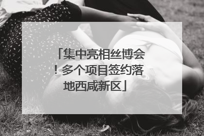 集中亮相丝博会！多个项目签约落地西咸新区