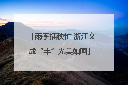 雨季插秧忙 浙江文成“丰”光美如画