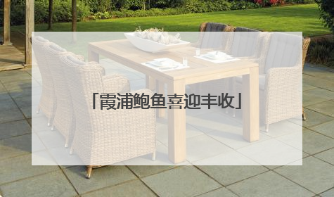 霞浦鲍鱼喜迎丰收