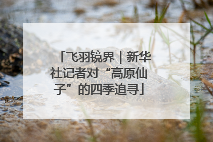 飞羽镜界｜新华社记者对“高原仙子”的四季追寻