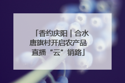香约庆阳｜合水唐旗村开启农产品直播“云”销路