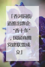 香河园街道推出惠企“香十条”，国展商圈党建联盟成立