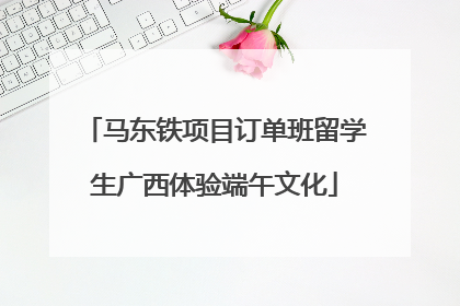 马东铁项目订单班留学生广西体验端午文化