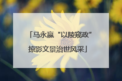 马永嬴“以陵窥政” 掠影文景治世风采