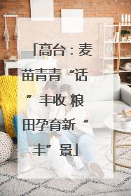 高台：麦苗青青“话”丰收 粮田孕育新“丰”景