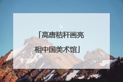 高唐秸秆画亮相中国美术馆