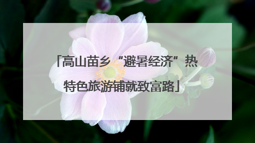 高山苗乡“避暑经济”热 特色旅游铺就致富路