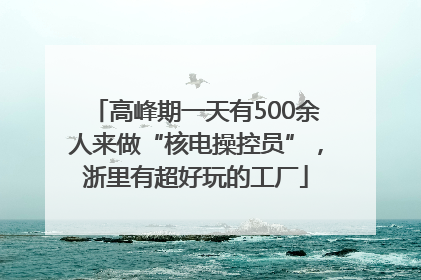 高峰期一天有500余人来做“核电操控员”，浙里有超好玩的工厂