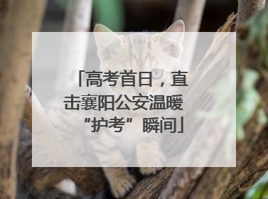 高考首日，直击襄阳公安温暖“护考”瞬间