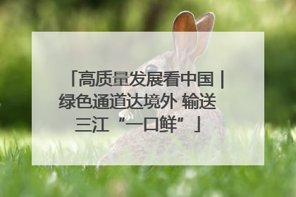 高质量发展看中国｜绿色通道达境外 输送三江“一口鲜”