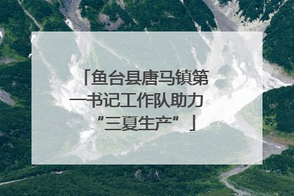 鱼台县唐马镇第一书记工作队助力“三夏生产”