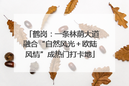 鹤岗：一条林荫大道融合“自然风光＋欧陆风情”成热门打卡地