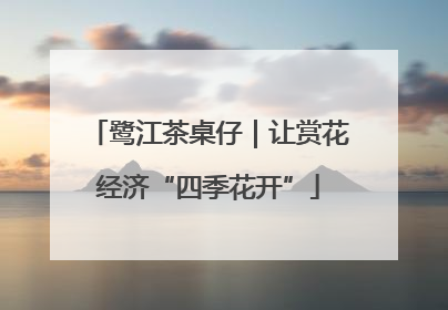 鹭江茶桌仔｜让赏花经济“四季花开”