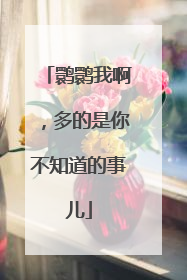 鹮鹮我啊，多的是你不知道的事儿