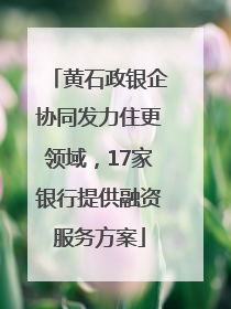 黄石政银企协同发力住更领域，17家银行提供融资服务方案