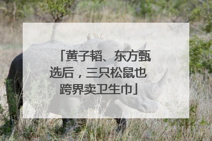 黄子韬、东方甄选后，三只松鼠也跨界卖卫生巾