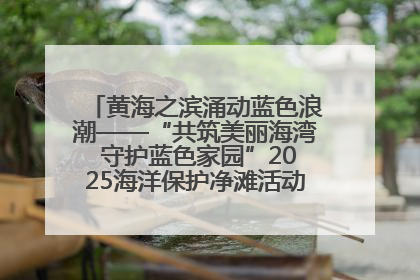 黄海之滨涌动蓝色浪潮——“共筑美丽海湾 守护蓝色家园”2025海洋保护净滩活动暨“美丽江苏—江河湖海青蓝行”海洋篇在连云港举行