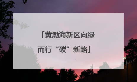黄渤海新区向绿而行“碳”新路