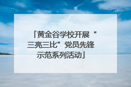 黄金谷学校开展“三亮三比”党员先锋示范系列活动