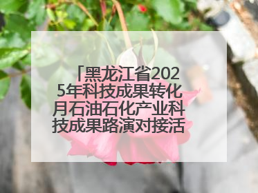 黑龙江省2025年科技成果转化月石油石化产业科技成果路演对接活动在大庆举办
